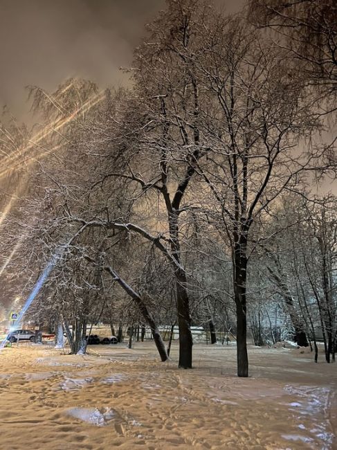 Красота в глазах смотрящего 💫  Хорошего вечера!  📸Мария..