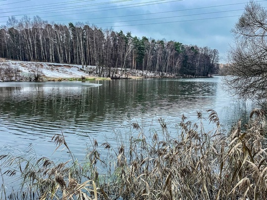 Декабрь, Пехорка парк. ❤ 
📸Светланы..