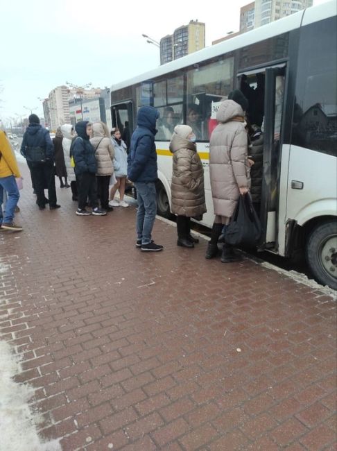 Везде и всюду хочется успеть в эти предновогодние и праздничные дни. Для этого важно знать, как работает..