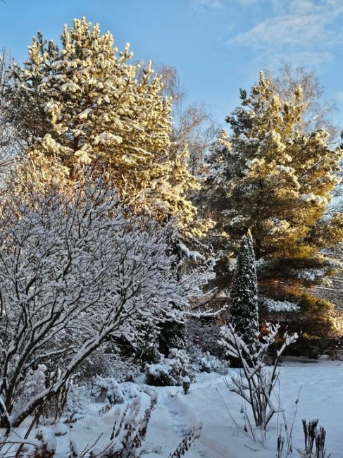 ❄️ Новогодний подарок от погоды!
Собираем поздравления любимому городу в комментариях..