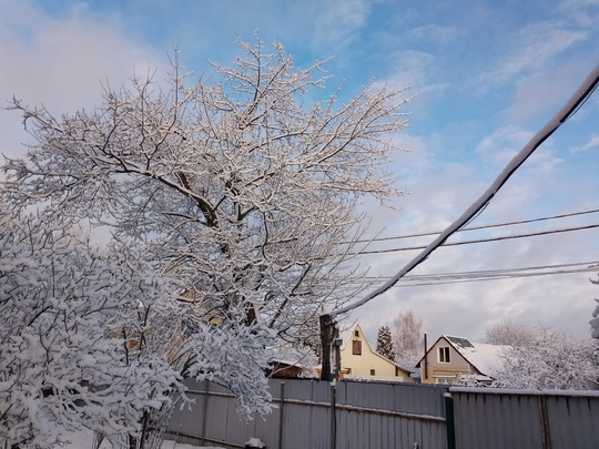 🎄Сегодня прям чудесный день был! Снег и солнце,..