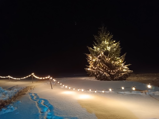 🎄 Уже сегодня самая сказочная ночь в году - присылайте фото своих новогодних красавку в..