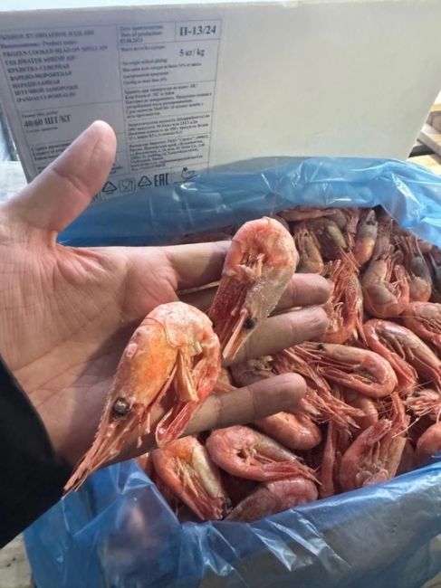 СВЕЖИЕ МОРЕПРОДУКТЫ 
напрямую от производителя🦐  ❄️Креветки сварены и подвергнуты сухой заморозке..