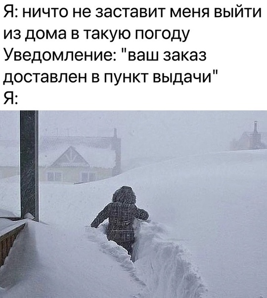 Вайлдберриз головного..