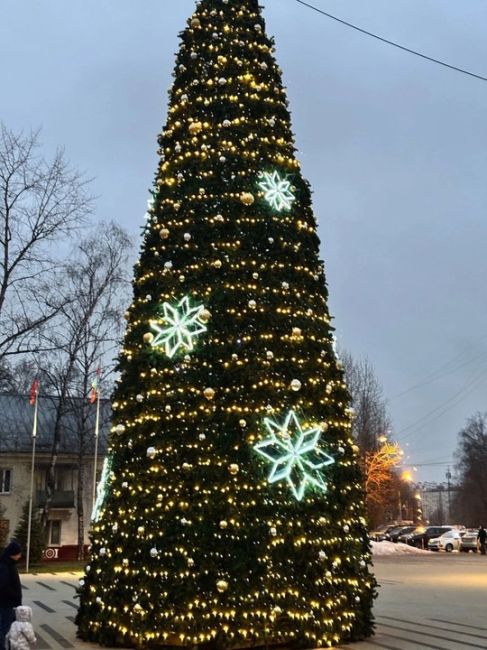 А КАК ВАМ ЁЛКА? 🎄
Утро доброе, а настроение испорчено, потому что в Железнодорожном «порадовали» своей..