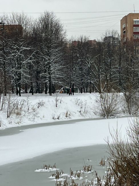 Сегодня в Долгопрудненском парке 2 мальчика и 1 девочка гуляют по льду, родители обратите внимание, детям лет..