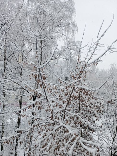 Химки замело, зимняя сказка! 😊
А на улицах..