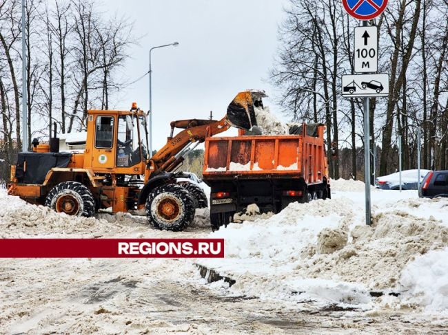 С Московского проспекта в Пушкино начали вывозить снег.  Фото: Ольга Шеметова 
Автор: Максим Рассказчиков ..