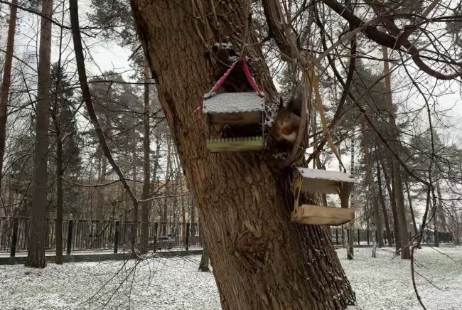 Доброго всем..