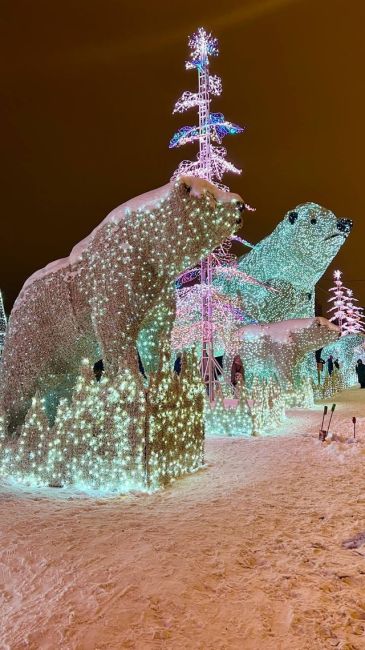 🐻‍❄В парке Акведук теперь можно увидеть знаменитых белых..