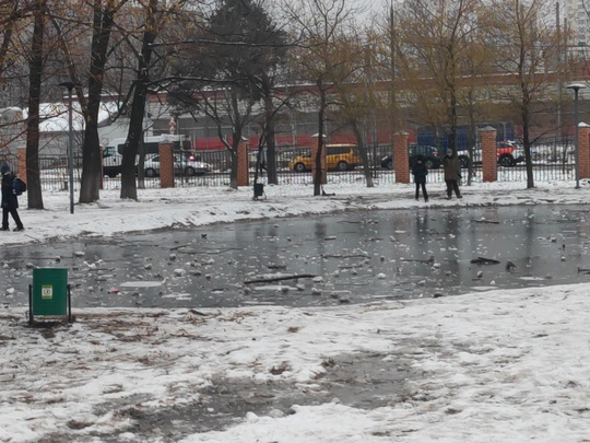 В нашем парке есть 2 маленьких пруда!  Ребята постоянно пытаются разбить лёд палками, ногами, самокатами,..