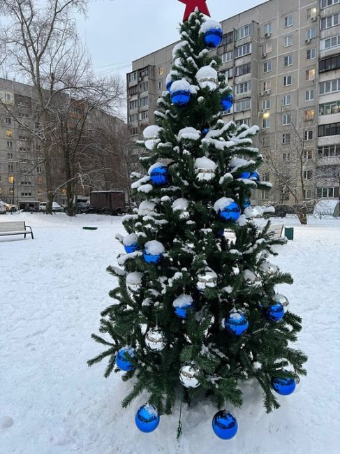 НОВОГОДНЯЯ СКАЗКА В БАЛАШИХЕ 🎄
Во дворе на Свердлова, 37 уже настоящая зимняя сказка! Слепили снеговика —..