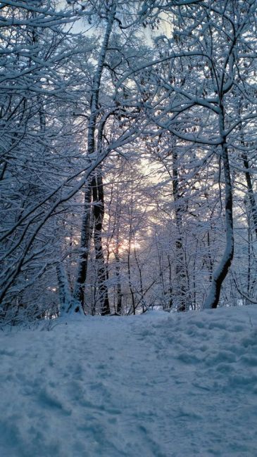 ЛЮБИМАЯ ПЕХОРКА 😍
Фото..