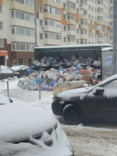 На днях в Зеленых аллеях  Мусоровоз не смог подъехать к мусорке. Продолжаем жить в мусоре..