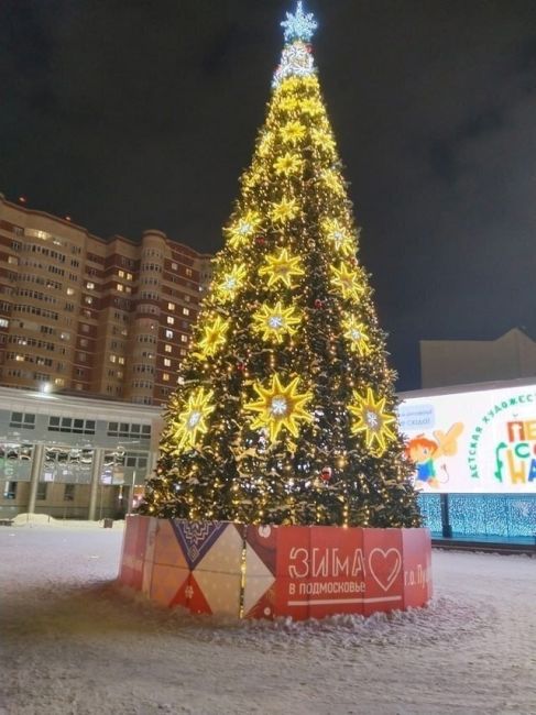 Зимняя сказка уже ждёт жителей и гостей области🎄  Во всех городах региона царит праздничное..