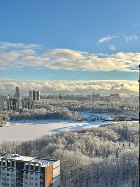 Какая красота на улице в Химках!..