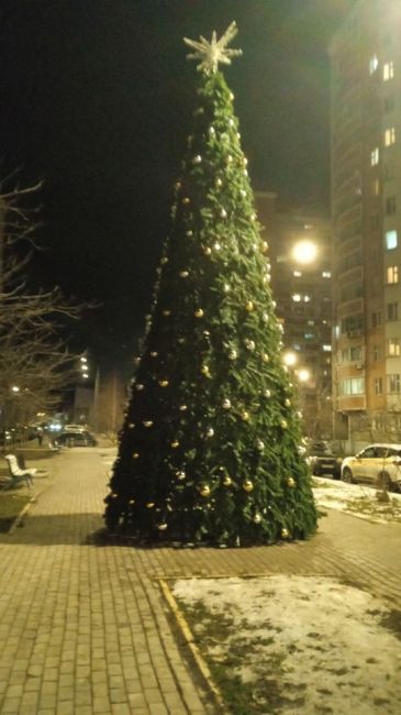 А вот и в Янтарном поставили прекрасную ёлочку 😍 
Ждём отчёты по всем..