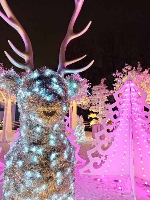 Новогодние декорации в Сокольниках 🎄.  Фото: Ксения..