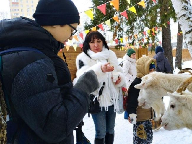 Дети из Ивантеевки провели время с козами и создали ангела в экопарке в Пушкино.  Фото: Ольга Шеметова...