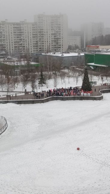 🎄На Михайловском пруду наблюдается активность, связанная с празднованием Нового года.  Есть ли у..