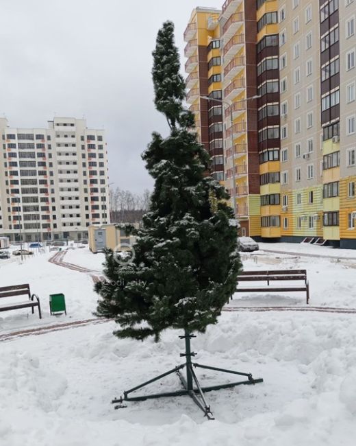 В микрорайоне «Высокие Жаворонки» установили елочку 🌲  Хочется поддержать жителей района и сказать, что..