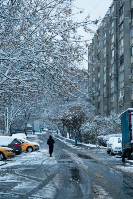 Зима все же пришла в..