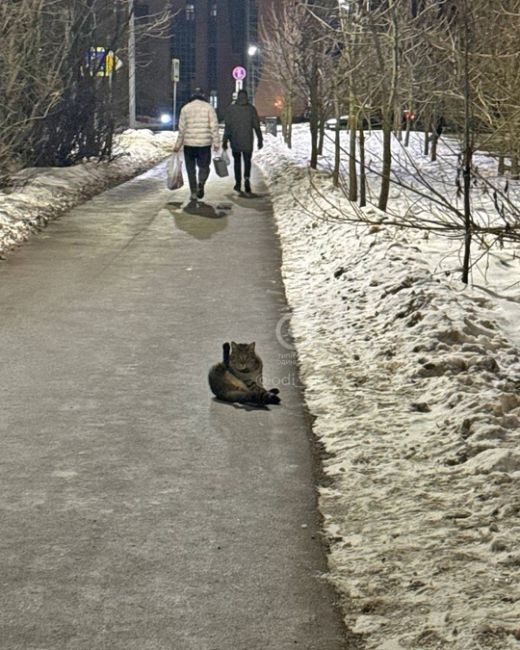 Немного вечерней гимнастики с улиц 8 микрорайона..