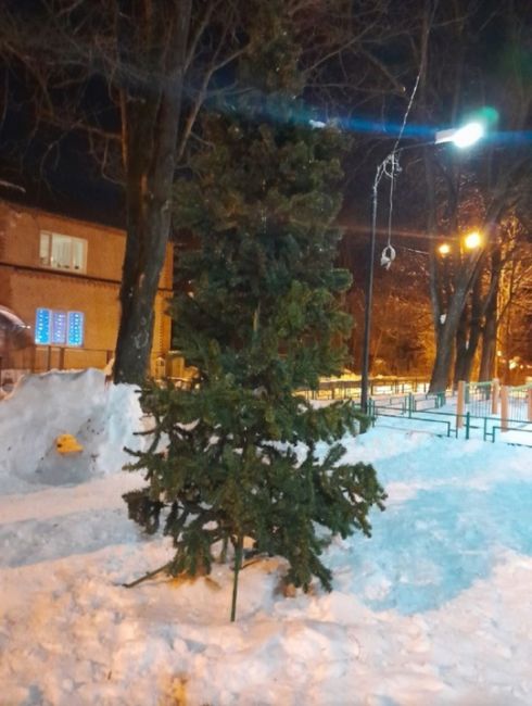 Праздник к нам приходит…  Елочка на заваленной снегом детской площадке в посёлке..