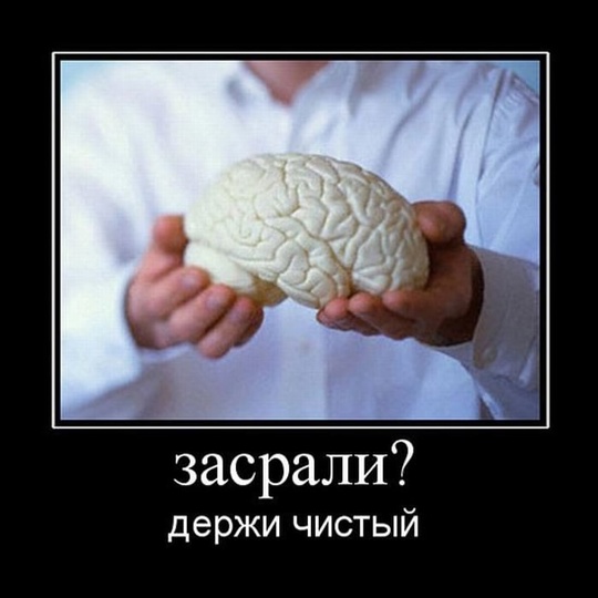 Как литературно назвать собачников и собачниц которые в прямом смысле 💩💩💩ЗАСРАЛИ 💩💩💩 весь район!?..