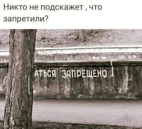 ⚡️В России хотят полностью ЗАПРЕТИТЬ иностранную музыку. В Госдуме неожиданно предложили убрать всех..