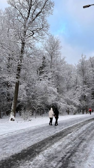 Просто красивая заснеженная Лазутинка..