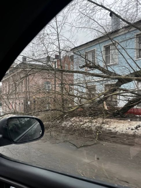 На Павлика Морозова дерево лежит на половину дороги. Из-за этого пробка, лучше..