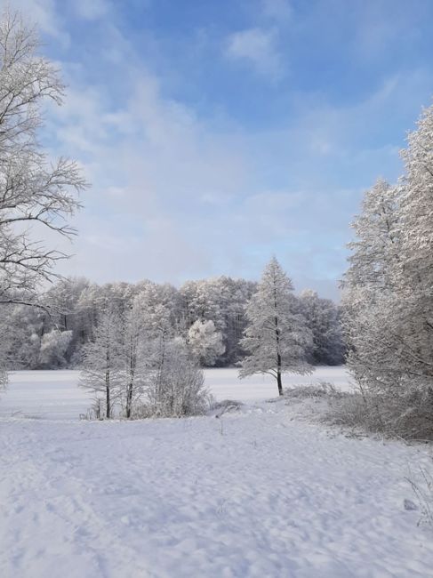 БАЛАШИХА ПРЕДНОВОГОДНЯЯ
Фото Ильмира..