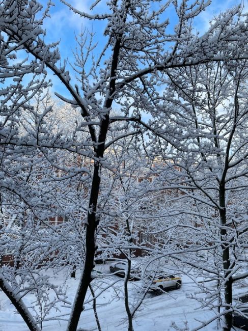 БАЛАШИХА ПРЕДНОВОГОДНЯЯ
Фото Ильмира..