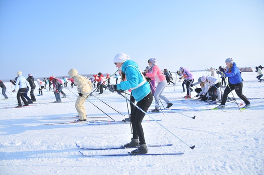 ⛸⛷🛷 Спортивные каникулы: где покататься на лыжах, санках, коньках и «ватрушках»  Новогодние каникулы в..