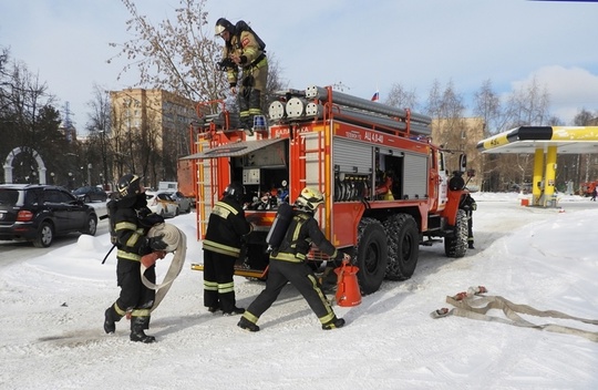 👏 Поздравляем отважных, мужественных и благородных людей с Днём..