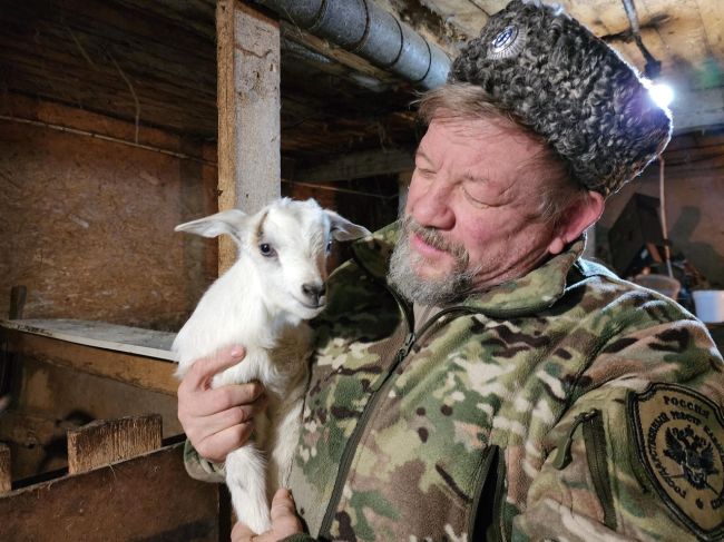 ✅ Развитию семейного фермерского хозяйства в Богородском округе помог грант от правительства.  Казачий..