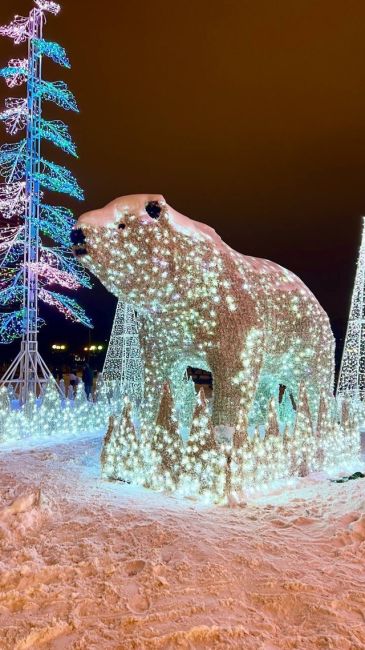 🐻‍❄В парке Акведук теперь можно увидеть знаменитых белых..