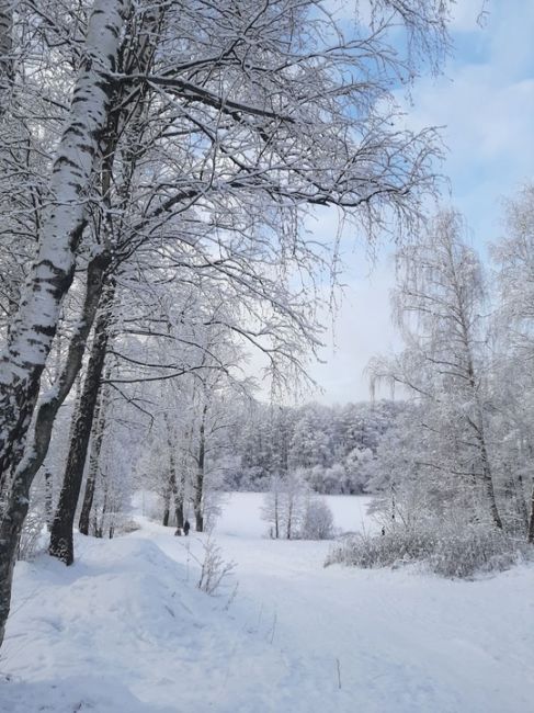 БАЛАШИХА ПРЕДНОВОГОДНЯЯ
Фото Ильмира..