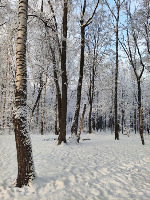 БАЛАШИХА ПРЕДНОВОГОДНЯЯ
Фото Ильмира..