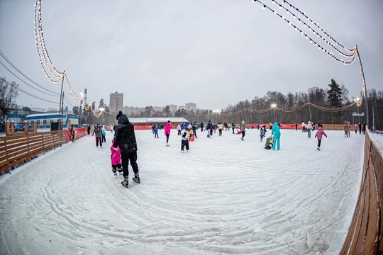 КАТОК 🥳❄⛸
Алексей Гречушников  город..