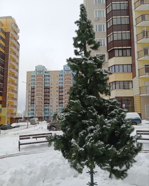 В микрорайоне «Высокие Жаворонки» установили елочку 🌲  Хочется поддержать жителей района и сказать, что..