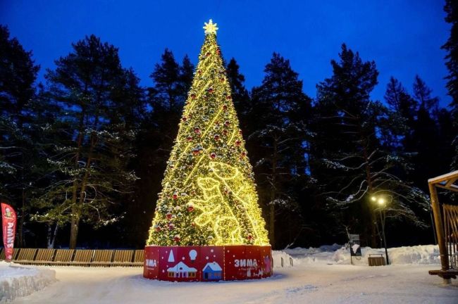 Зимняя сказка уже ждёт жителей и гостей области🎄  Во всех городах региона царит праздничное..