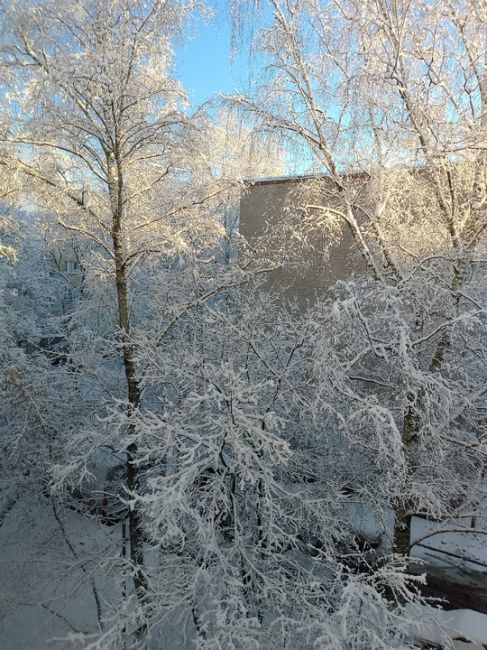 БАЛАШИХА ПРЕДНОВОГОДНЯЯ
Фото Ильмира..