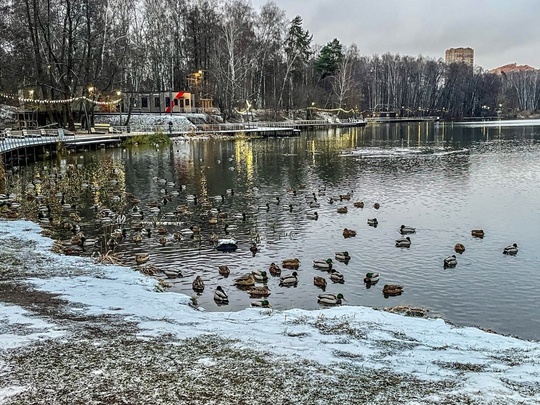 Декабрь, Пехорка парк. ❤ 
📸Светланы..