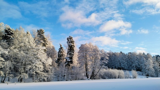 ЛЮБИМАЯ ПЕХОРКА 😍
Фото..