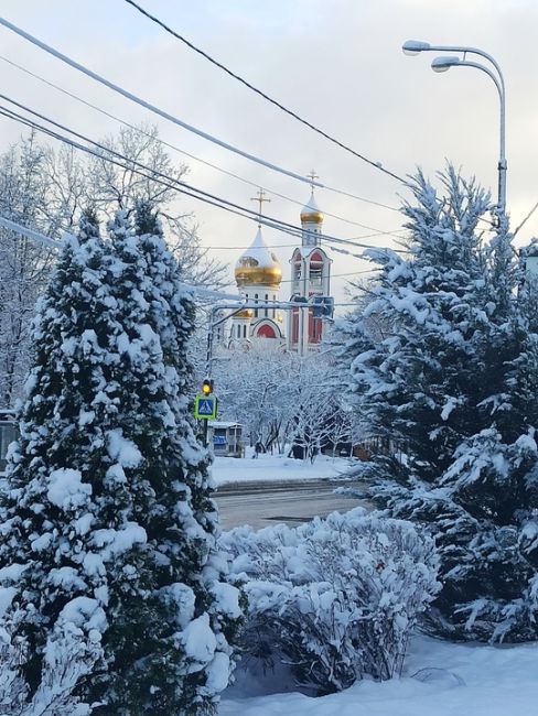 Давненько не было такой сказочной погоды 31 декабря..