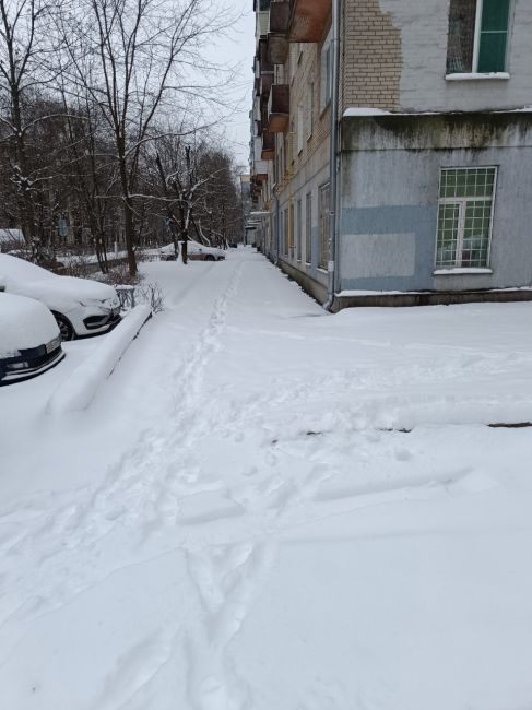 Пионерская 17 снег не убирают вообще , где дворники..