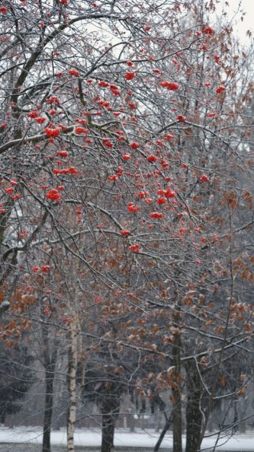 🍁❄ Прощай, осень, привет - зима! С 1 декабря, Коломна! Студеная, но в то же время самая волшебная пора в году..