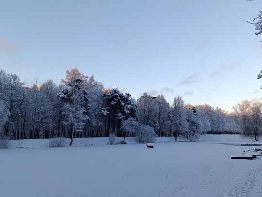 Снег к новому году..